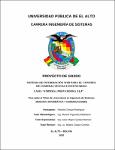 P.D.G-PAMELA CHOQUE RODRIGUEZ.pdf.jpg