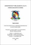 TESIS-ALFREDO MAMANI HUALLPA.pdf.jpg